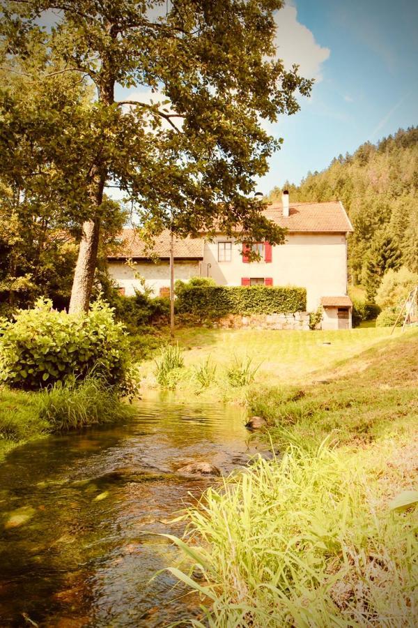 Gite De Charme Jusqu'A 14 Personnes, Proche Du Lac De ジェラールメ エクステリア 写真